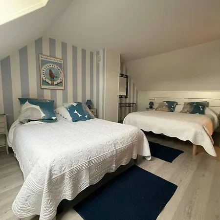 Les Hortensias * Bazoches-sur-Hoëne